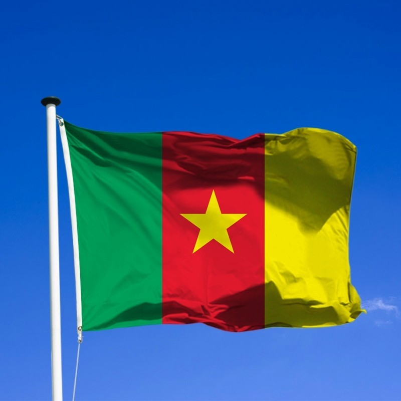 Cameroun : vers une légalisation de la crypto-monnaie