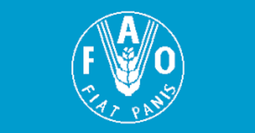 La FAO lance un appel à manifestation