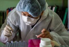 Chine : un nouveau virus semblable au coronavirus détecté