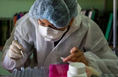 Chine : un nouveau virus semblable au coronavirus détecté